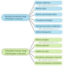 Soal tematik kelas 5 sd tema 1 subtema 2. Lengkap Kunci Jawaban Halaman 73 75 76 77 78 79 80 81 82 83 Tema 6 Kelas 4 Buku Siswa Subtema 2 Pembelajaran 2 Pojok Edukasi