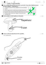 Edited - biologia klasa 5 - karta pracy powtórzenie 2 - Pobierz pdf z  Docer.pl