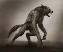 Via a bite or scratch from another werewolf). What Happens To A Werewolf In The Harvest Moon Open Graves Open Minds