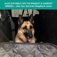 Ultimate Dog Car Back Seat Protector