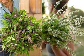 Harvest when flowers are fully open, otherwise they have a tendency to wilt. Fabulous Foliages And Fillers Floret Flowers