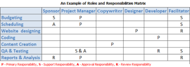 Defining Roles Responsibilities And Skills In Project