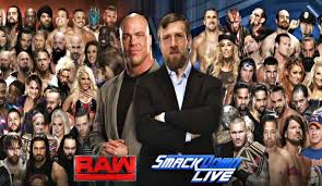 Image result for wwe superstar male and female
