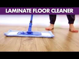 laminate floor cleaner day 9 31