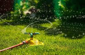 Neglected lawns can begin to get dry, patchy, and weedy. Lawn Care Services Denver Co Grass Lawn Fertilization Company
