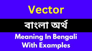 vector meaning in bengali vector শব দ র