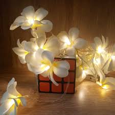 Us 7 41 25 Off Creative Diy Frangipani Led String Lights Aa Battery Floral Holiday Lighting Event Party Holiday Decoration Baby Night Light In