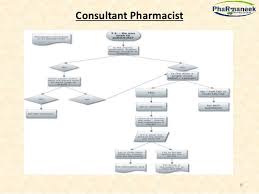 Pharmaneeks Process Flow Chart Description