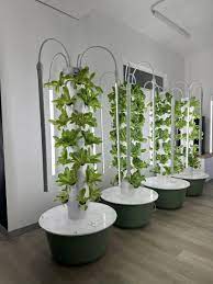 indoor vertical aeroponic garden