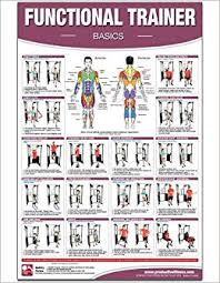Functional Institutional Home Gym Poster Chart Basics