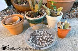How To Make Your Own Cactus Soil Mix