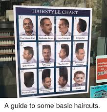 Hairstyle Chart 4 The Shorn Calfdelicate Beast Iron Triangle