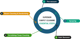 carpet steam cleaning melbourne steam