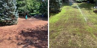 re seeding a drought damaged lawn