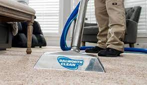 cleaning protecting carpet from