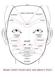 Face Mapping For Acne The Ultimate Guide