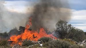 Varios focos de incendio azotan la patagonia. Tolhuin Dantesco Incendio En Lenga Patagonia Del Lago Noticias