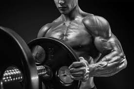 jeff seid workout routine and t plan