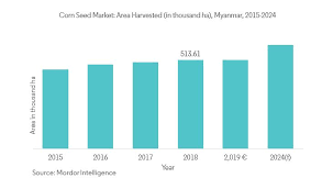 Myanmar Corn Seed Sector Analysis Growth Trends And