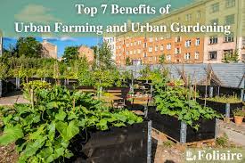 Urban Gardening And Urban Farming