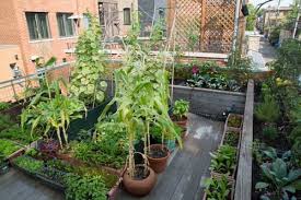 70 Nicest Rooftop Garden Ideas Best