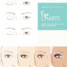pdf makeup artist eye charts