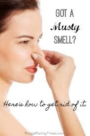 Get Rid Of Musty Smells In Cabins