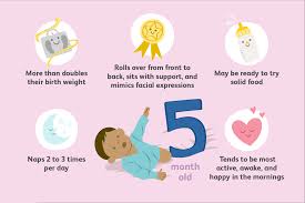 5 month old baby milestones and