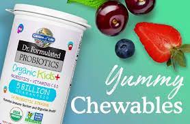 probiotic chewable berry dr