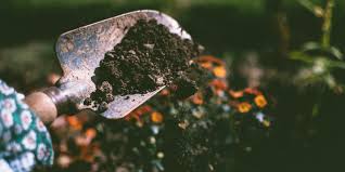 soil clippings and other garden waste