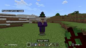 witch minecraft guide ign