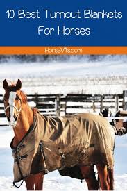 10 best turnout blankets for horses