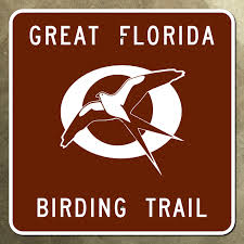 great florida birding trail highway