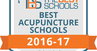 Earn a certificate of training nationally recognized in the united states and canada that connects you to an international community of nada providers. The 20 Best Acupuncture Schools In The U S Thebestschools Org