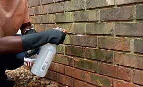 How To Clean Brick