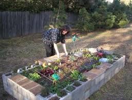 Pin On Gardening