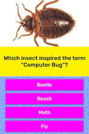 Well, what do you know? Which Insect Inspired The Term Trivia Answers Quizzclub