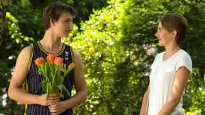 the fault in our stars 2016 extended