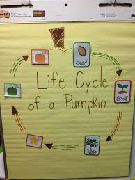 Anchor Chart Life Cycle Of A Pumpkin Fall Preschool