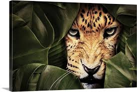 jungle leopard wall art canvas prints