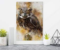 Owl Canvas Print Birds Wall Art Owl