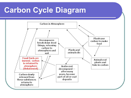 The Carbon Cycle Tek Diagram Abiotic Cycles Including The
