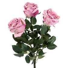 Deco rose riempito rosa antico Ø10cm L65cm 3 pezzi-1344-24 , acquista a  buon mercato online