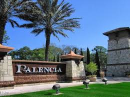 palencia community 32095 real estate