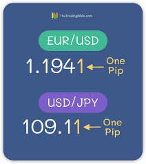 what is a pip in forex trading