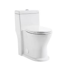 Dual Flush 1 Piece White Toilet