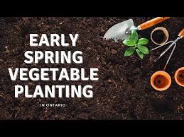 Early Spring Vegetable Planting