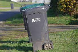yard waste into green lidded bins