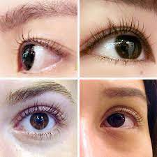 eyelash perm the prestige eyebrow