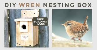 Make A House Wren Nesting Box Free Plans